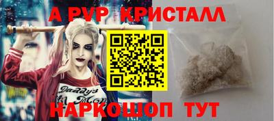 СК Кандалакша
