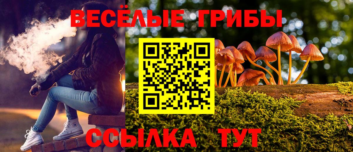 Галлюциногенные грибы Psilocybine cubensis Кстово