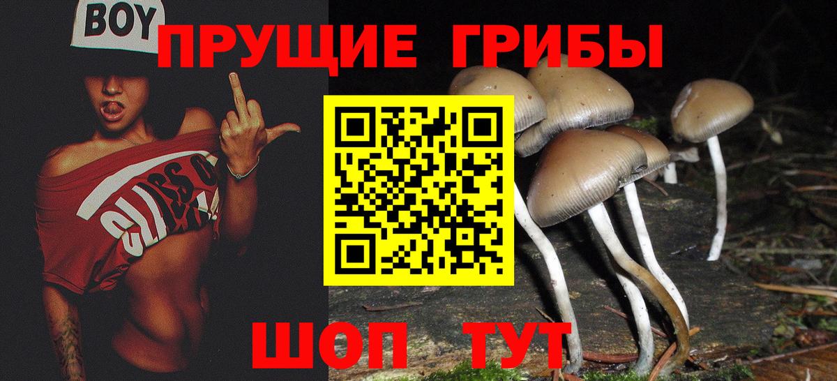 Псилоцибиновые грибы Psilocybine cubensis  Вход с VPN  Кстово  Галлюциногенные грибы прущие грибы 